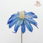 Dry Sapphire Blue - Pudu Ria Florist Southern