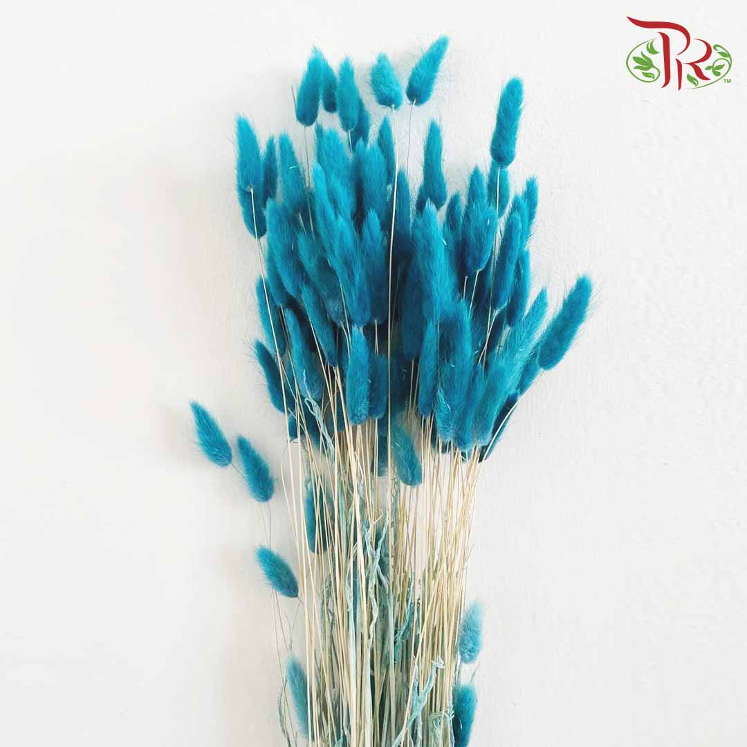 Dry Lagurus (Bunny Tails) - Navy Blue - Pudu Ria Florist Southern