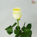 Rose Buttercup (8-10 Stems) - Pudu Ria Florist Southern