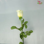 Rose Buttercup (8-10 Stems) - Pudu Ria Florist Southern