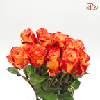 Rose Fire (8-10 Stems) - Pudu Ria Florist Southern