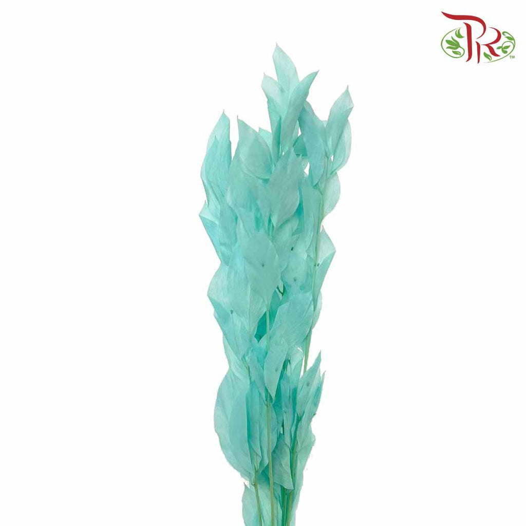 Dry Orange Leaf - Blue - Pudu Ria Florist Southern
