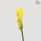 Calla Lily Yellow - 5 Stems - Pudu Ria Florist Southern
