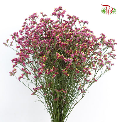 Caspia Dark Pink - Pudu Ria Florist Southern