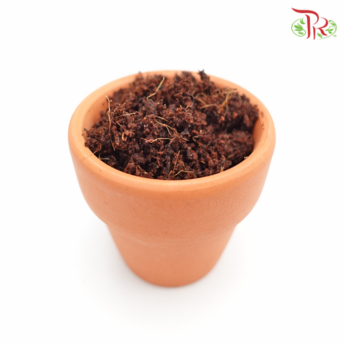 Coco Peat - Pudu Ria Florist Southern