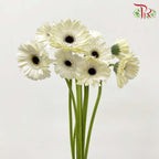 Gerbera White (8-10 Stems) - Pudu Ria Florist Southern