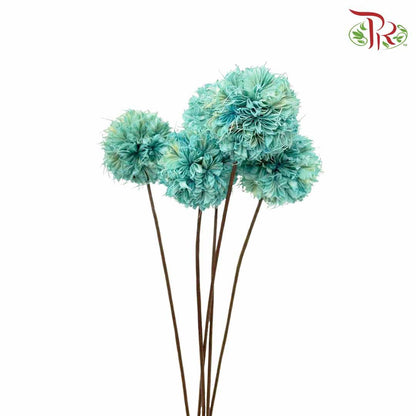Dry Octagonal Ball - Blue - Offer Item - Pudu Ria Florist Southern