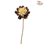 Dry Dahlia - Brown and White - Pudu Ria Florist Southern