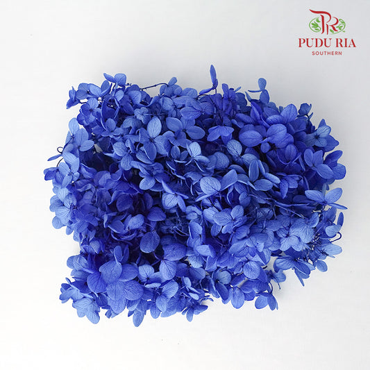 Preservative Hydrangea - Dark Blue - Pudu Ria Florist Southern