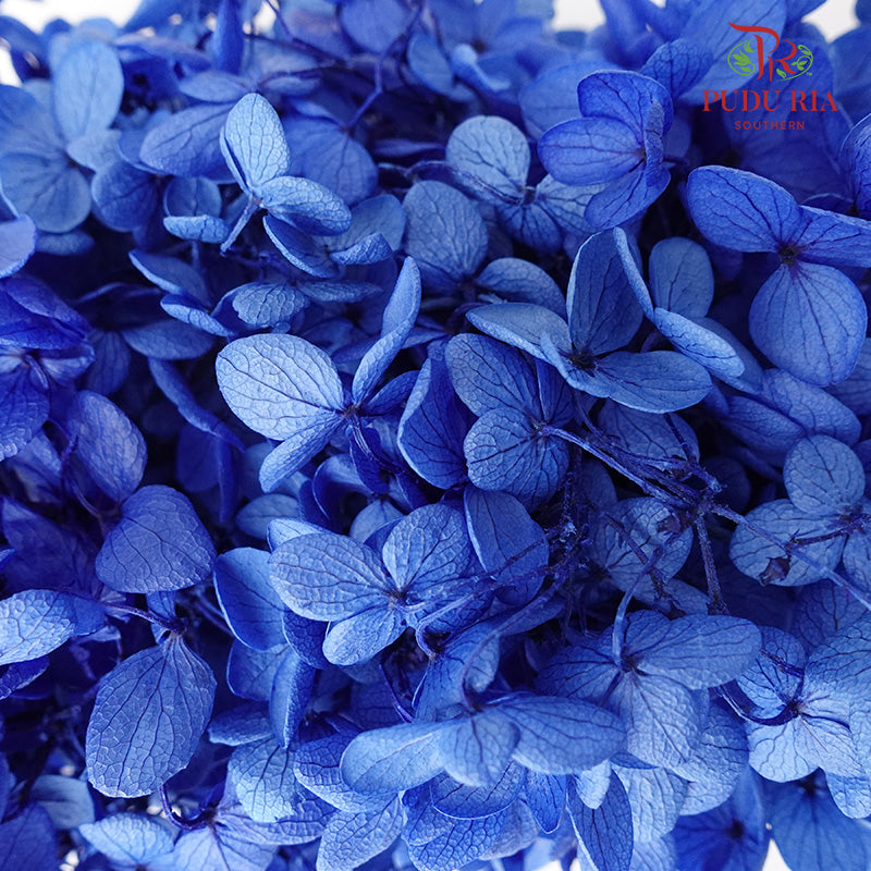 Preservative Hydrangea - Dark Blue - Pudu Ria Florist Southern