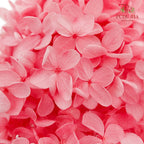 Preservative Hydrangea - Dark Pink ( Long Shape )/ Per Stem - Pudu Ria Florist Southern