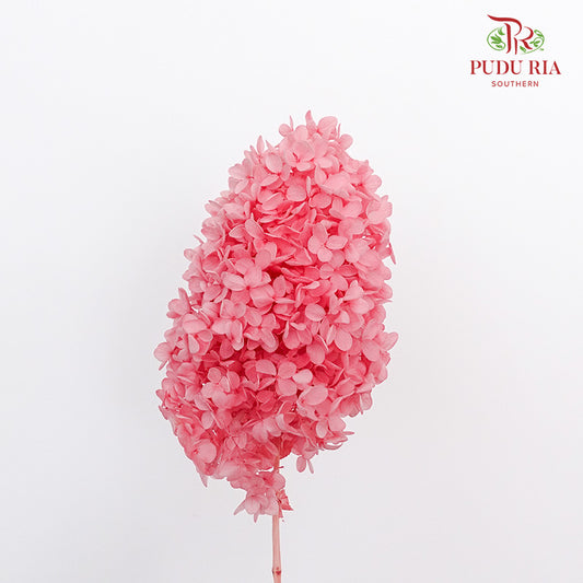 Preservative Hydrangea - Dark Pink ( Long Shape )/ Per Stem
