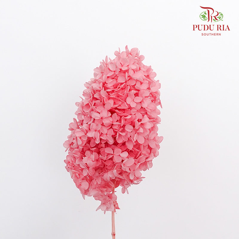Preservative Hydrangea - Dark Pink ( Long Shape )/ Per Stem - Pudu Ria Florist Southern