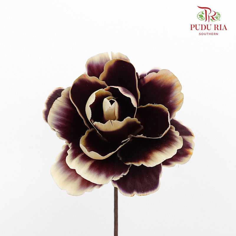 Dry Asia Peony - Dark Purple - Pudu Ria Florist Southern