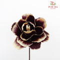 Dry Asia Peony - Dark Purple - Pudu Ria Florist Southern