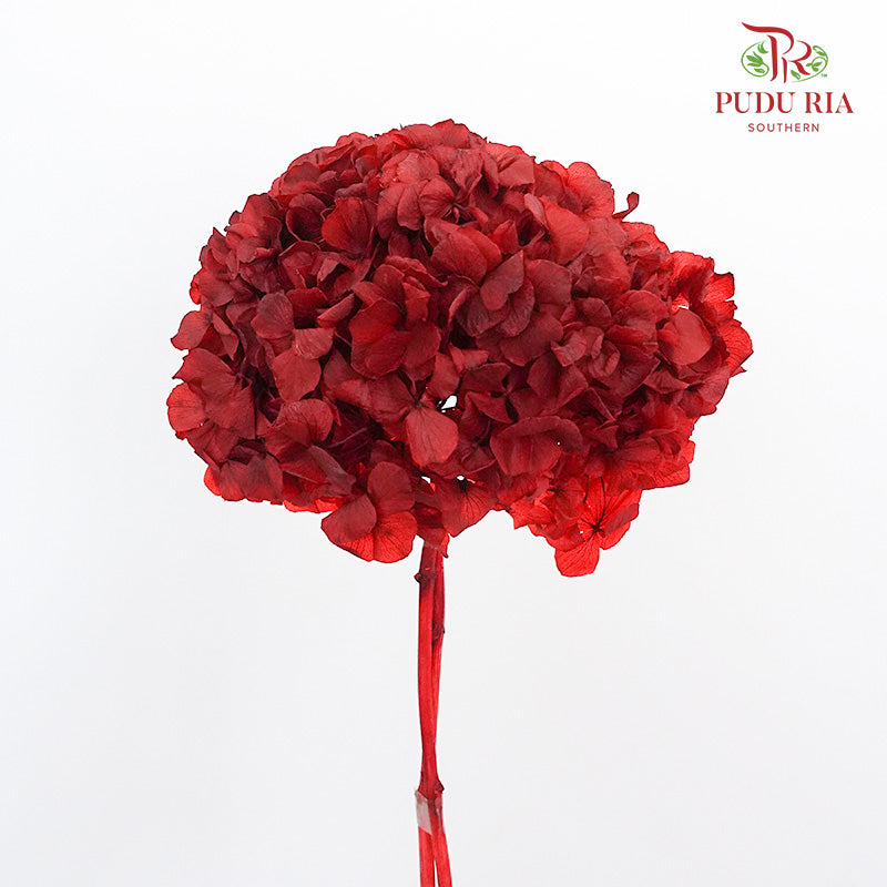Preservative Hydrangea - Dark Red / Per Stem - Pudu Ria Florist Southern
