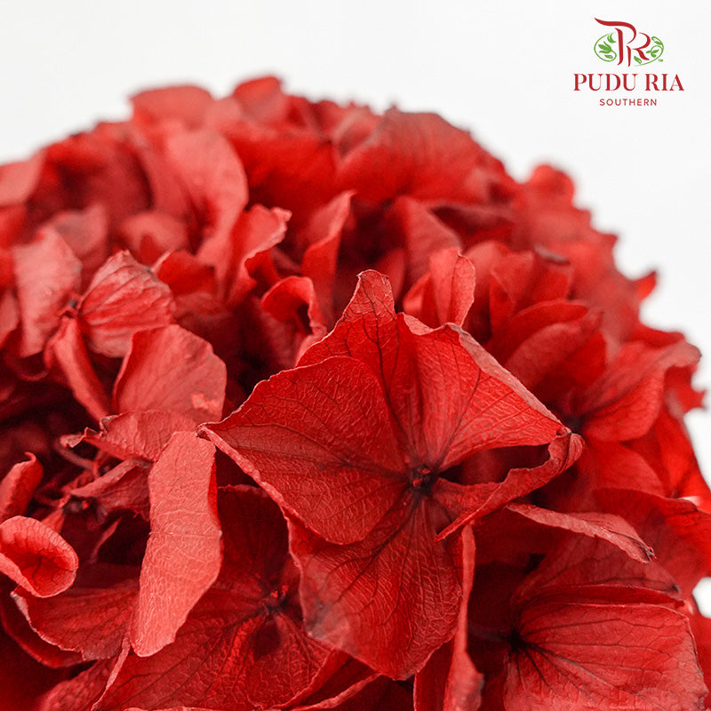 Preservative Hydrangea - Dark Red / Per Stem - Pudu Ria Florist Southern