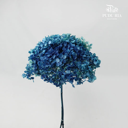 Preservative Hydrangea - Deep Blue / Per Stem - Pudu Ria Florist Southern