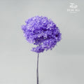 Preservative Hydrangea - Deep Purple / Per Stem - Pudu Ria Florist Southern