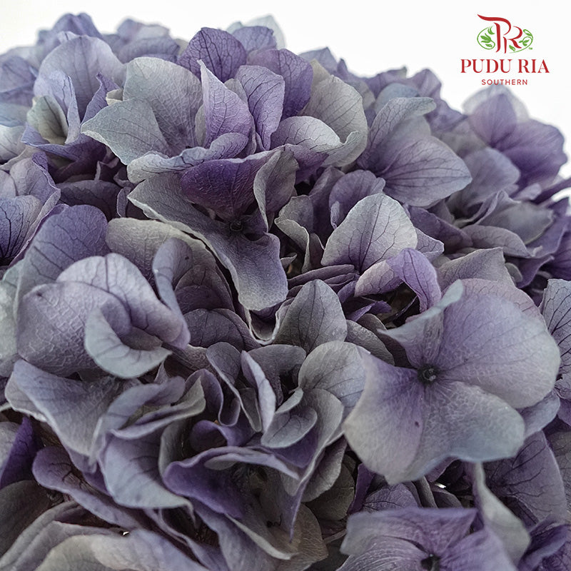 Preservative Hydrangea - Deep Purple / Per Stem - Pudu Ria Florist Southern