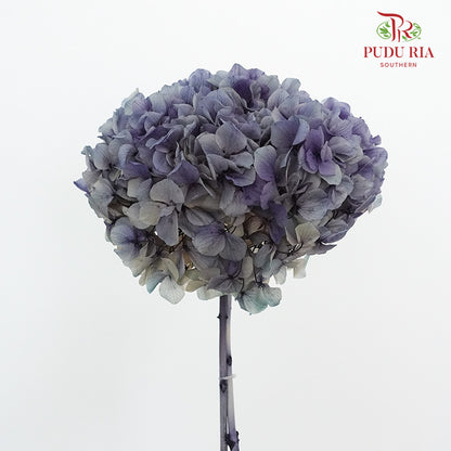 Preservative Hydrangea - Deep Purple / Per Stem - Pudu Ria Florist Southern