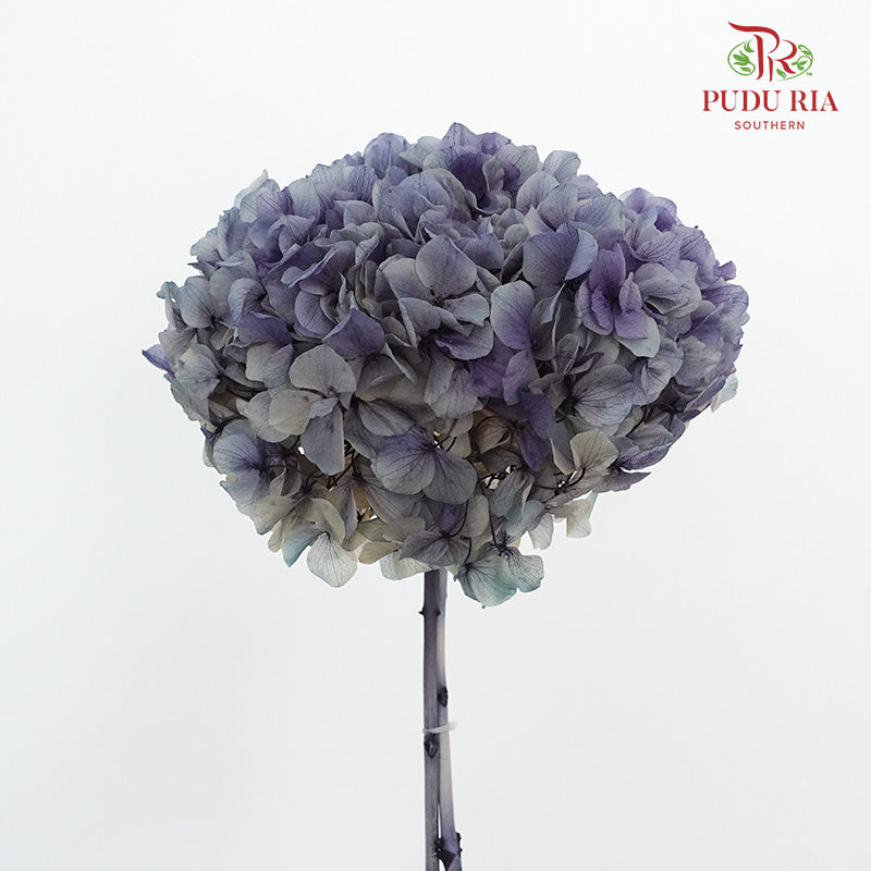 Preservative Hydrangea - Deep Purple / Per Stem - Pudu Ria Florist Southern