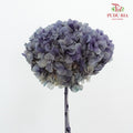 Preservative Hydrangea - Deep Purple / Per Stem - Pudu Ria Florist Southern
