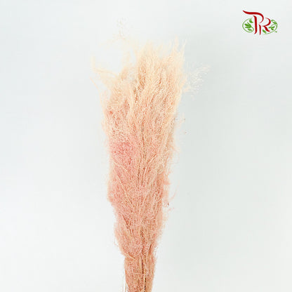 Dry Agrostis - Pudu Ria Florist Southern