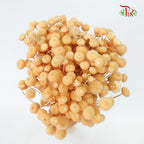 Dry Amarellino - Pudu Ria Florist Southern