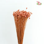 Dry  Happy Flower - Pink - Pudu Ria Florist Southern