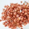 Dry  Happy Flower - Pink - Pudu Ria Florist Southern