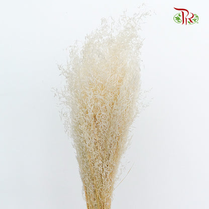 Dry Briza - Pudu Ria Florist Southern