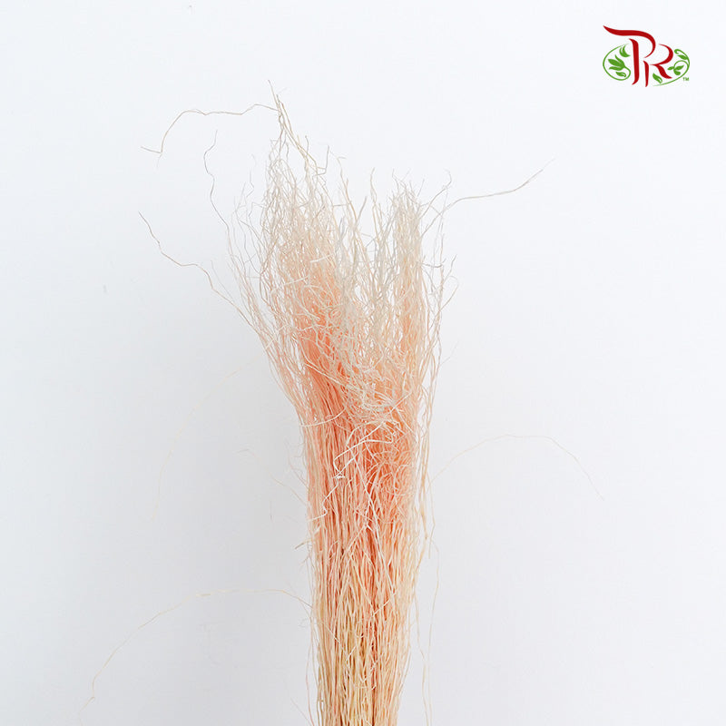 Dry Crazy Grass Peach - Pudu Ria Florist Southern