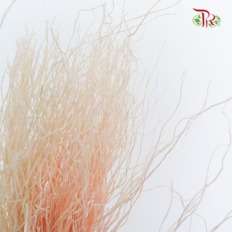 Dry Crazy Grass Peach - Pudu Ria Florist Southern