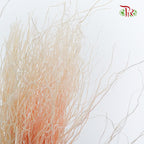 Dry Crazy Grass Peach - Pudu Ria Florist Southern