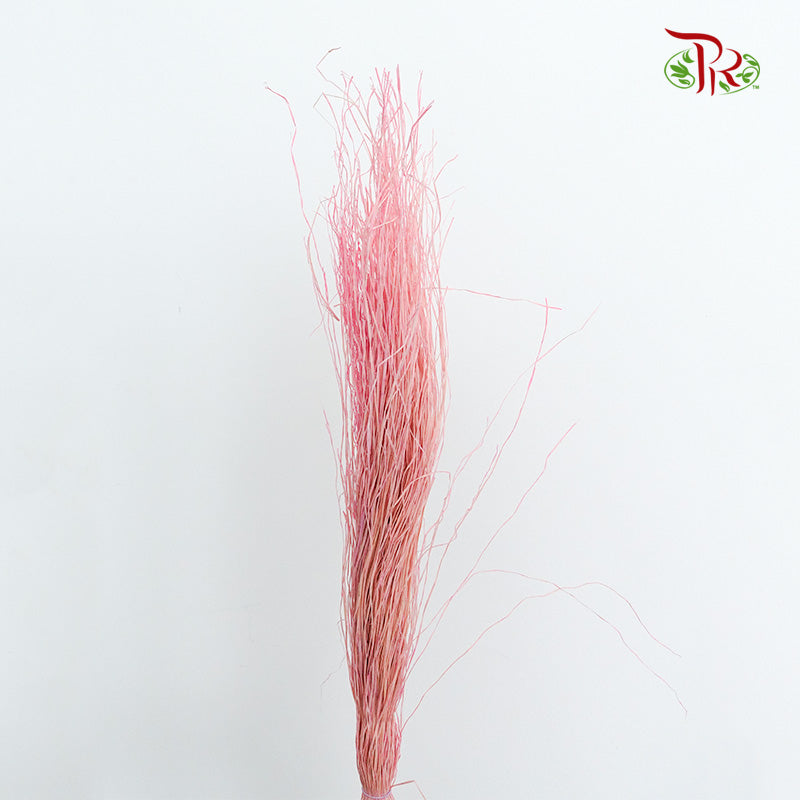 Dry Crazy Grass Pink - Pudu Ria Florist Southern