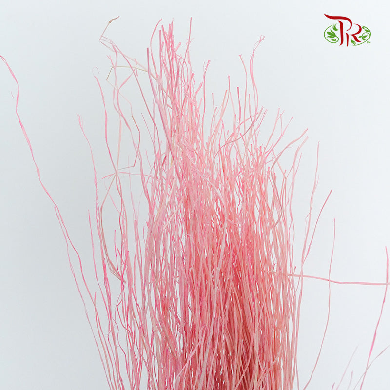 Dry Crazy Grass Pink - Pudu Ria Florist Southern