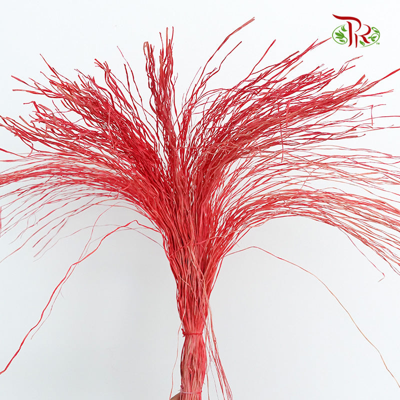Dry Crazy Grass Red - Pudu Ria Florist Southern
