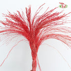 Dry Crazy Grass Red - Pudu Ria Florist Southern