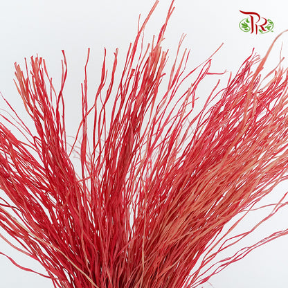 Dry Crazy Grass Red - Pudu Ria Florist Southern