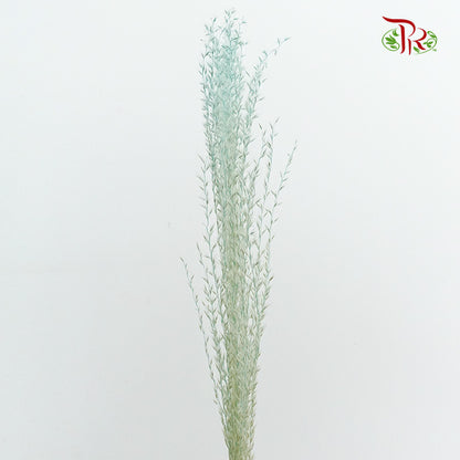 Dry Eulaila Mint Blue - Pudu Ria Florist Southern