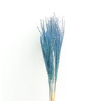 Dry Eulaila - Pudu Ria Florist Southern