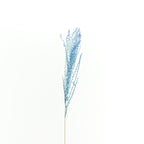 Dry Eulaila - Pudu Ria Florist Southern