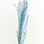 Dry Eulaila - Pudu Ria Florist Southern