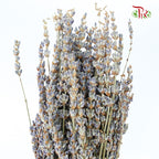 Dry Lavender - Pudu Ria Florist Southern