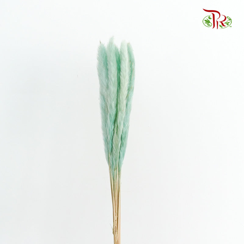 Dry Mini Pampas Blue - Pudu Ria Florist Southern