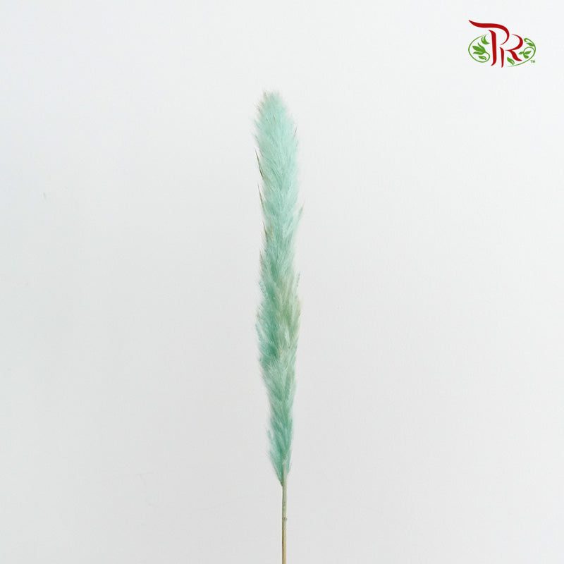 Dry Mini Pampas Blue - Pudu Ria Florist Southern