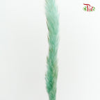 Dry Mini Pampas Blue - Pudu Ria Florist Southern