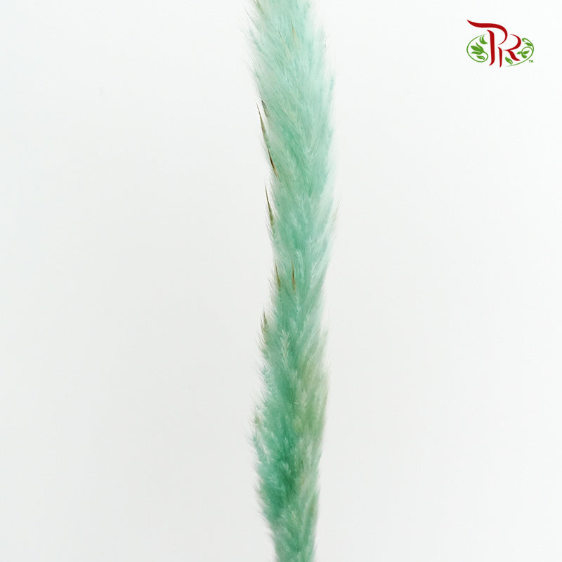 Dry Mini Pampas Blue - Pudu Ria Florist Southern