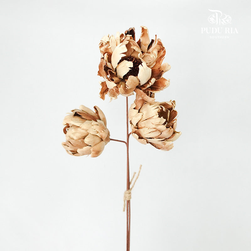 Dry Peony - Pudu Ria Florist Southern
